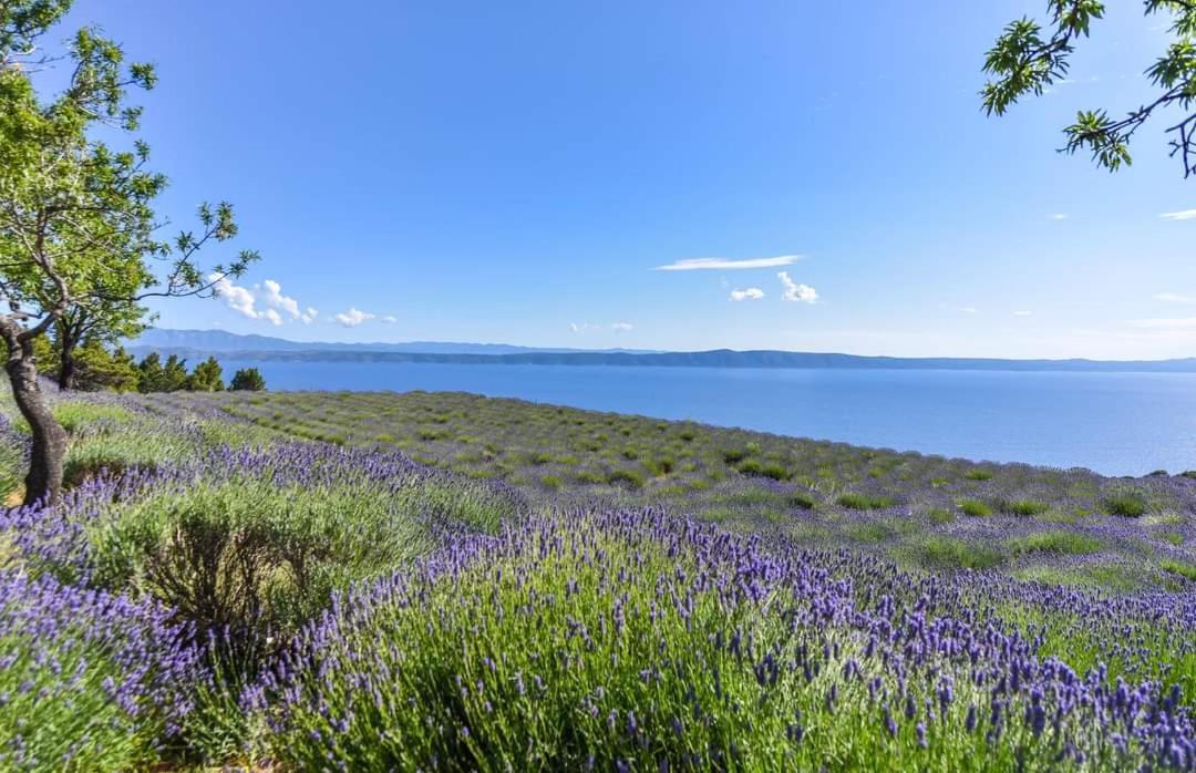 Sea View Apartments M Подгора Экстерьер фото
